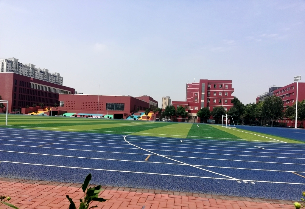 塑胶跑道厂家 塑胶跑道厂家